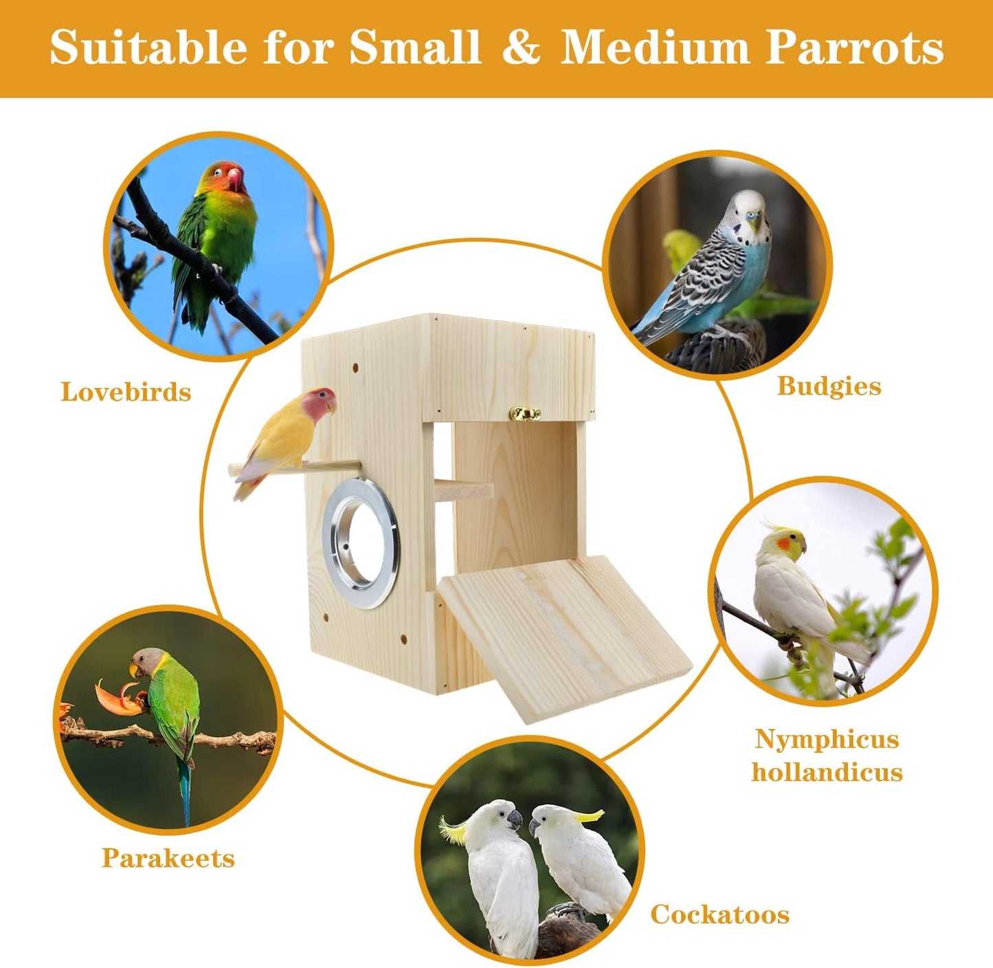 Bird Breeding Nest Box – Wooden & Acrylic Transparent House for Parakeets, Budgies, Cockatiels, Conures, Lovebirds & Finches