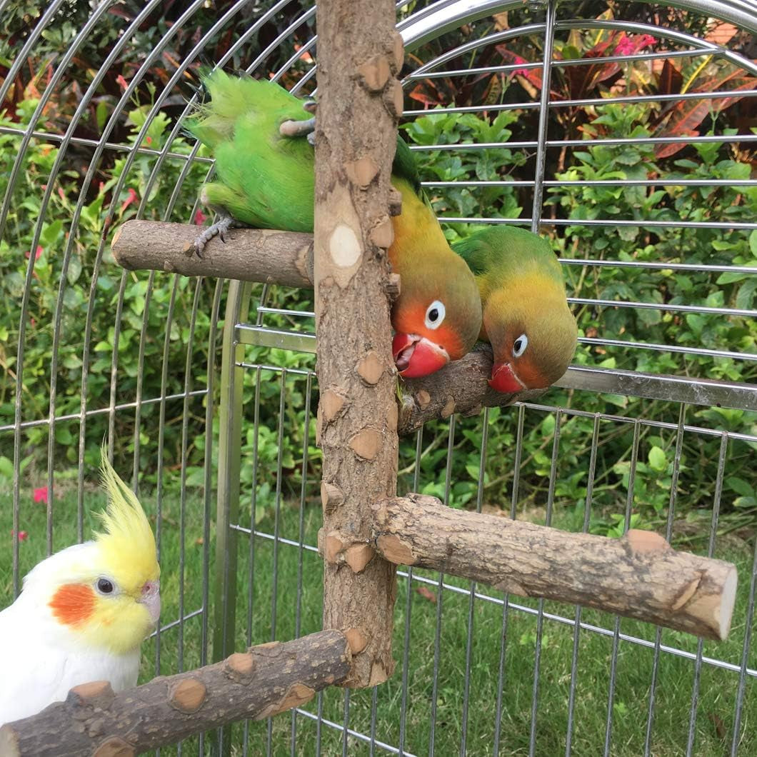 Natural Wood Bird Perch Stand – Size S for 3–4 Small to Medium Parrots, Budgies, Cockatiels, Conures & Lovebirds