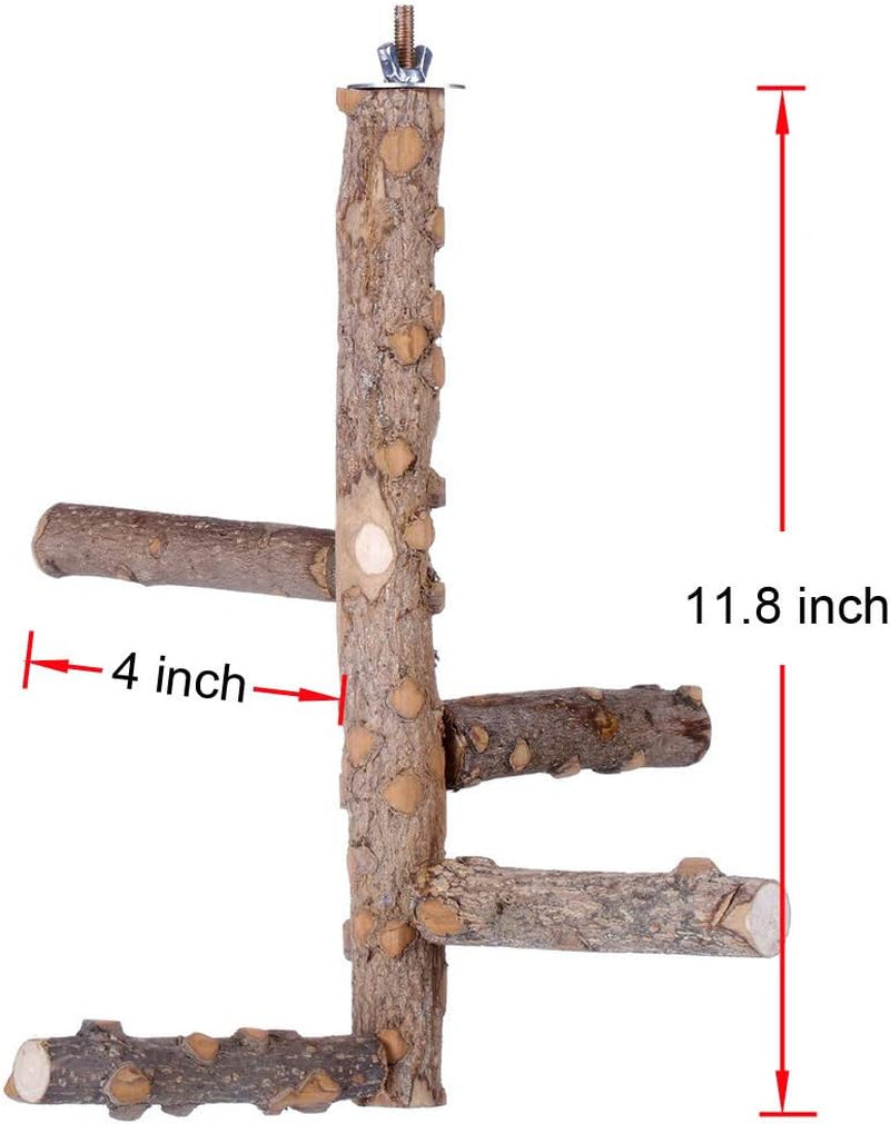 Natural Wood Bird Perch Stand – Size S for 3–4 Small to Medium Parrots, Budgies, Cockatiels, Conures & Lovebirds