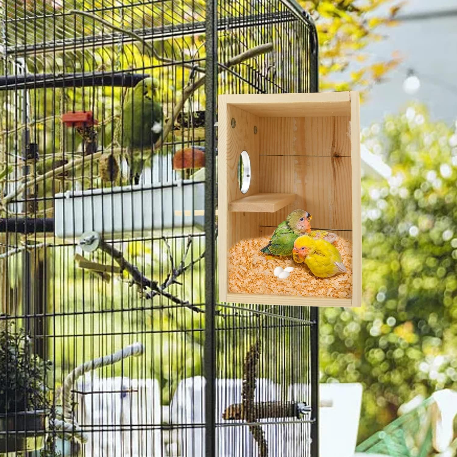 Bird Breeding Nest Box – Wooden & Acrylic Transparent House for Parakeets, Budgies, Cockatiels, Conures, Lovebirds & Finches