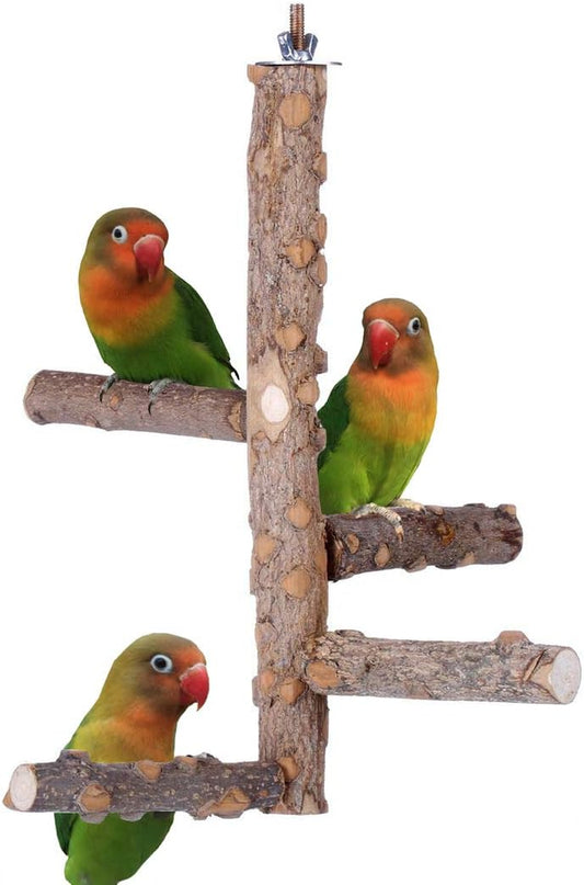 Natural Wood Bird Perch Stand – Size S for 3–4 Small to Medium Parrots, Budgies, Cockatiels, Conures & Lovebirds
