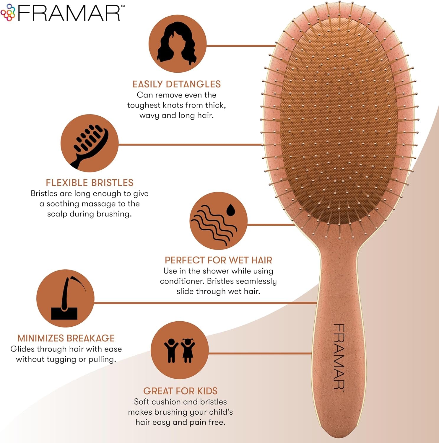 Wet Hair Detangler Brush – Mojave Edition Curved Brush for Curly & Straight Hair, Anti-Slip Grip for Women, Detangling Brush Set