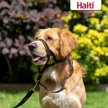 HALTI Headcollar Size 3 Black – UK’s Bestselling Anti-Pull Dog Harness with Padded Noseband, Adjustable Fit & Reflective Strips for Medium Dogs