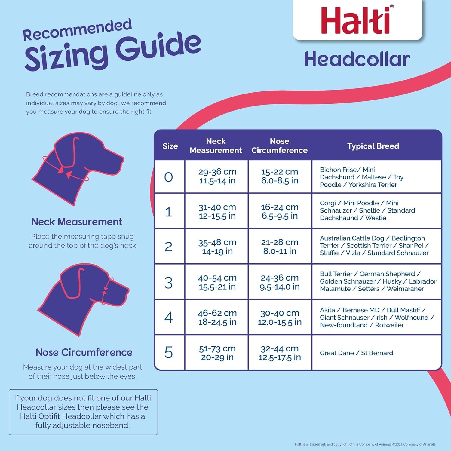 HALTI Headcollar Size 3 Black – UK’s Bestselling Anti-Pull Dog Harness with Padded Noseband, Adjustable Fit & Reflective Strips for Medium Dogs